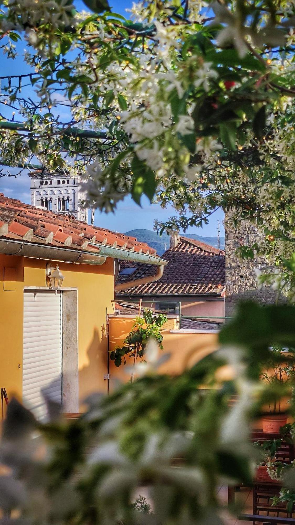 Villa De Maestri Lucca Esterno foto